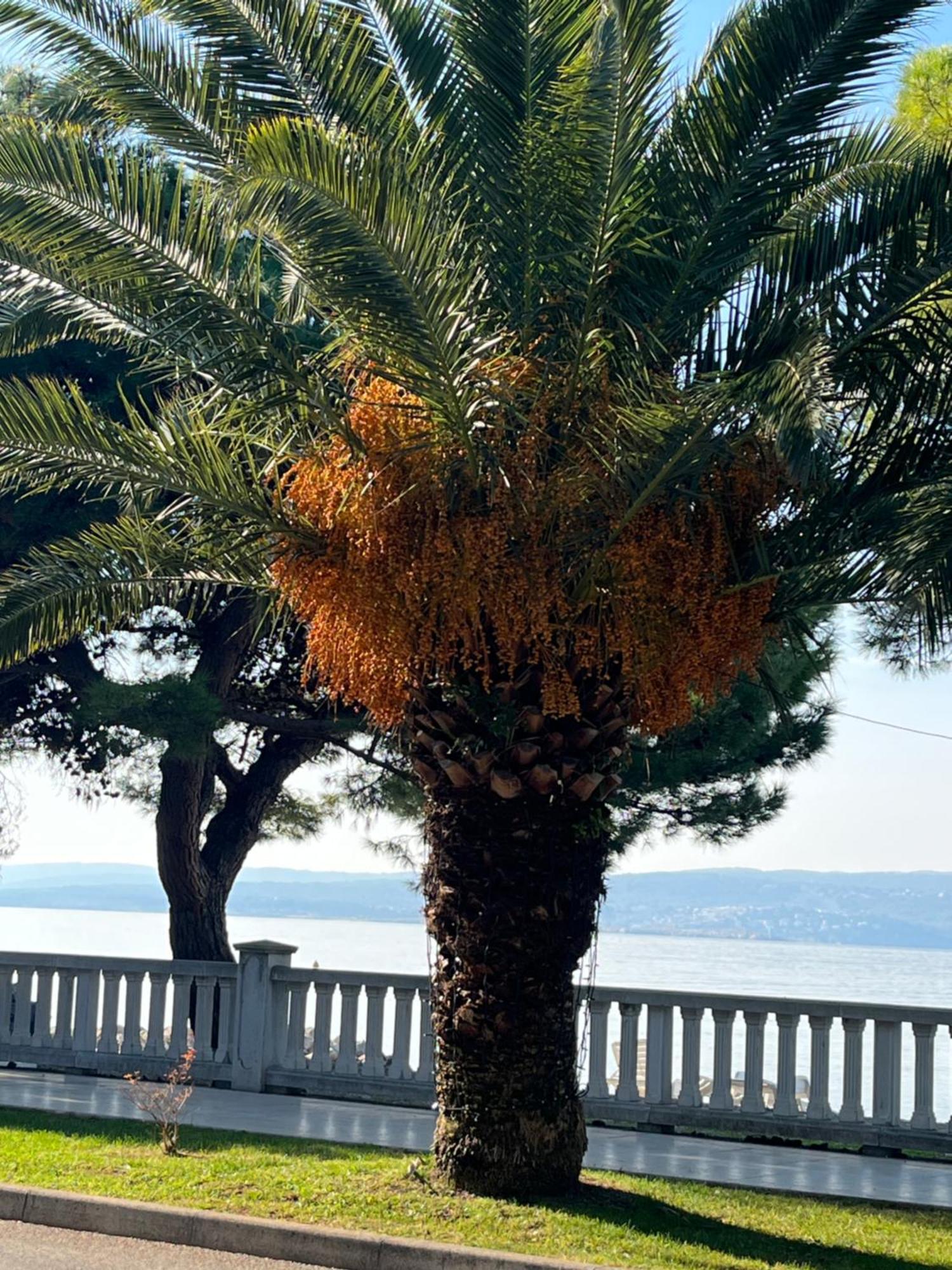 Crikvenica Right On The Beach Exterior photo